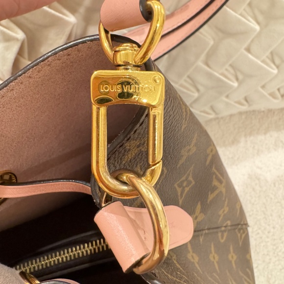 Louis Vuitton neonoe bag - Picture 7 of 11